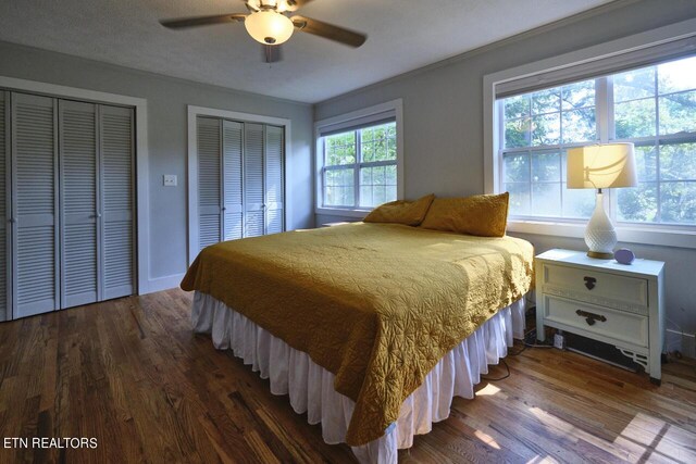 bedroom with multiple windows, ceiling fan, dark hardwood / wood-style floors, and two closets