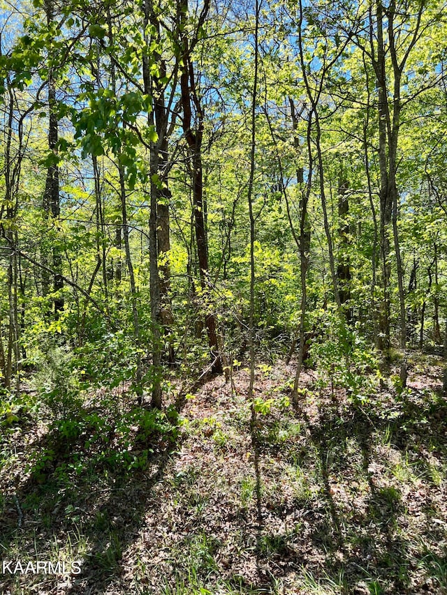 444 Beachwood Dr, Crossville TN, 38558 land for sale