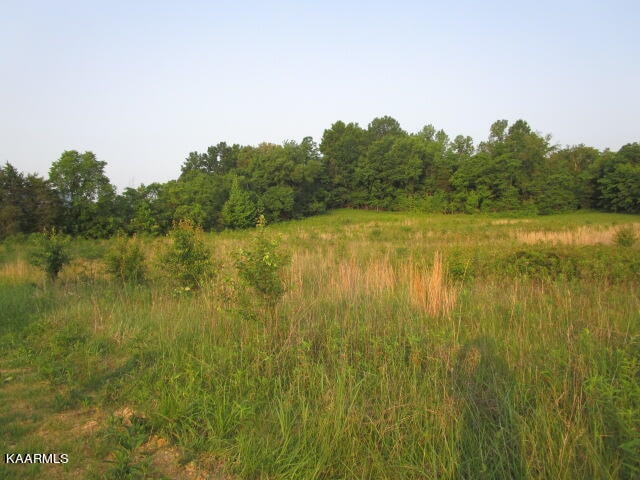 Listing photo 2 for Washington Pike, Luttrell TN 37779