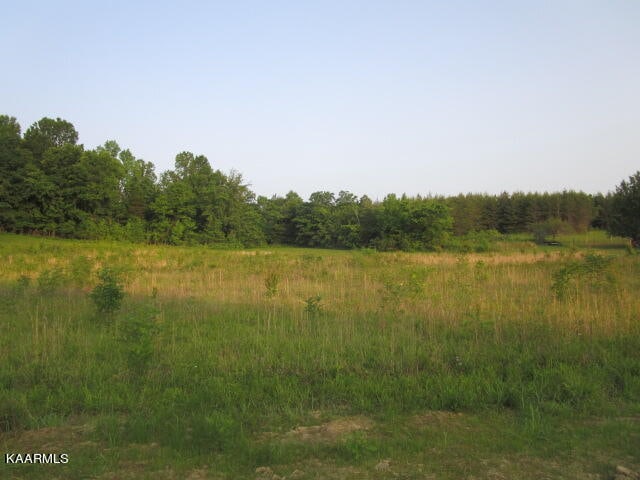 Listing photo 3 for Washington Pike, Luttrell TN 37779