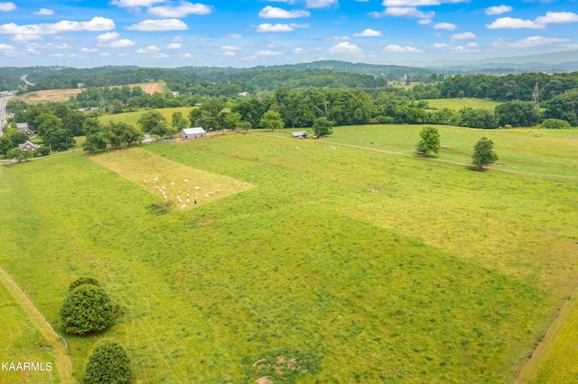 3652 US Highway 411 S, Maryville, TN 37801 - photo 11