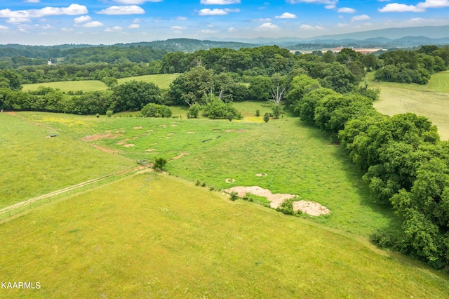 3652 US Highway 411 S, Maryville, TN 37801 - photo 13