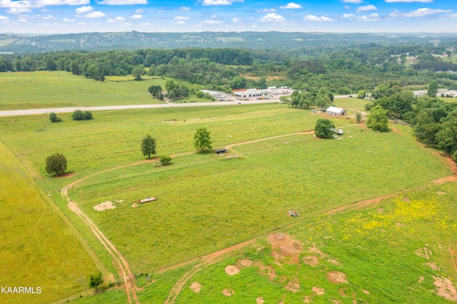 3652 US Highway 411 S, Maryville, TN 37801 - photo 16