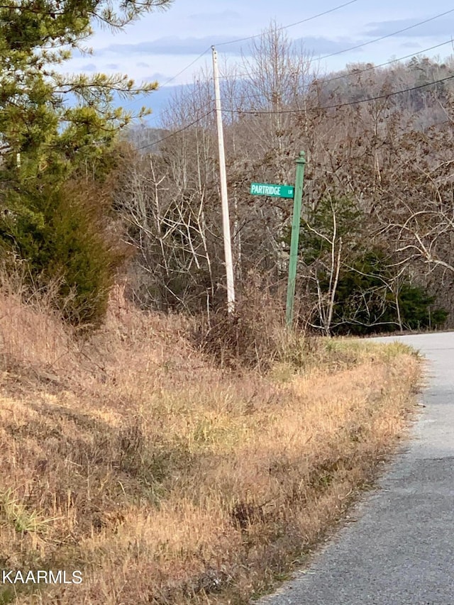 Listing photo 3 for LOT590 Whistle Valley Rd, New Tazewell TN 37825