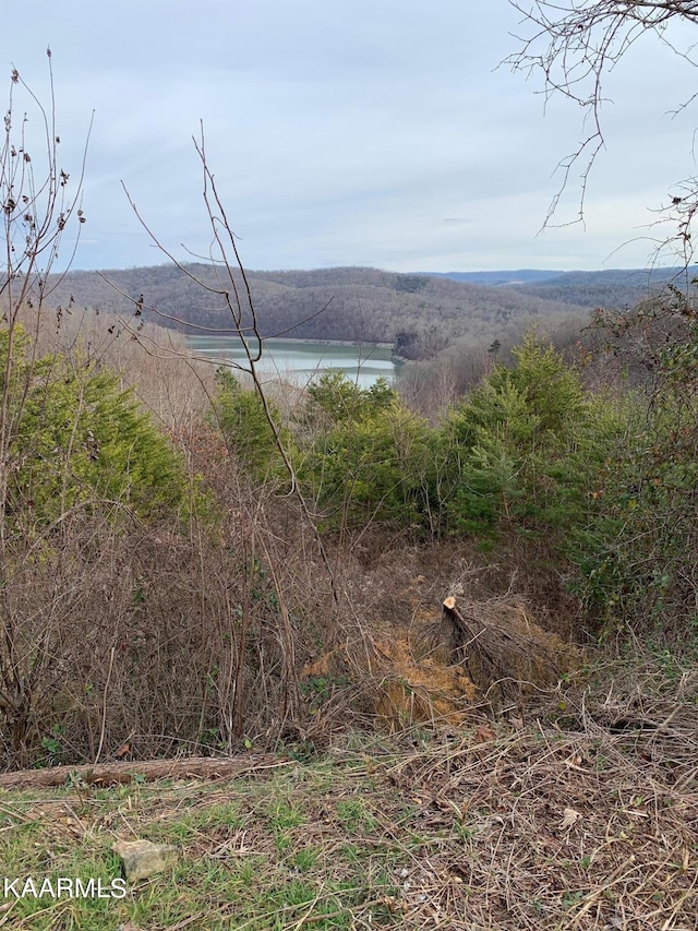 LOT590 Whistle Valley Rd, New Tazewell TN, 37825 land for sale