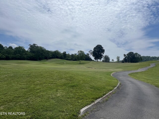 121 Links Ct, Tazewell, TN 37879 - photo 3