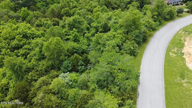 121 Links Ct, Tazewell, TN 37879 - photo 1