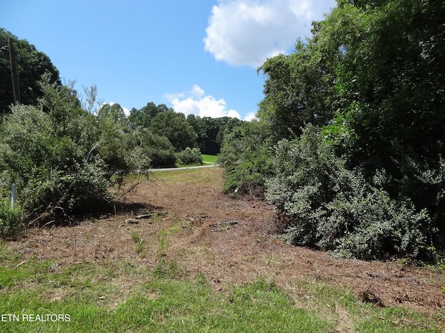 LOT5 Eugene Ct, Crossville, TN 38555 - photo 5