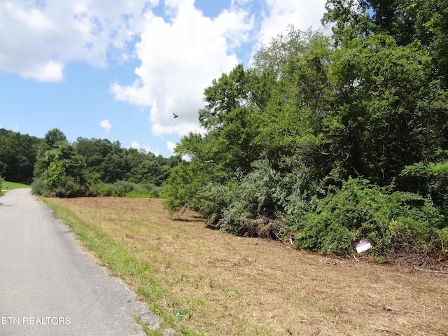 LOT5 Eugene Ct, Crossville, TN 38555 - photo 3