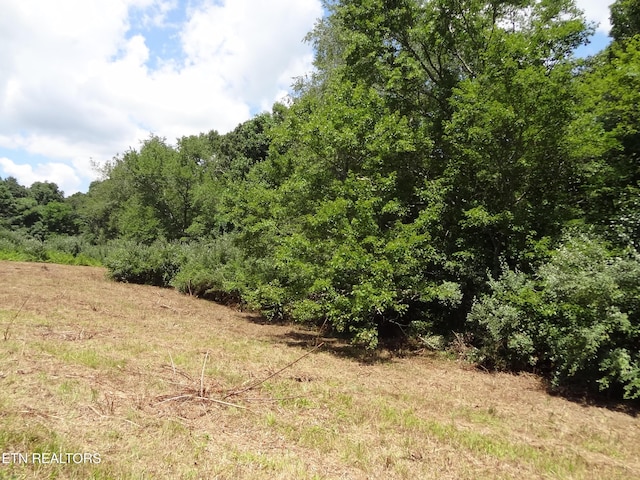 LOT5 Eugene Ct, Crossville, TN 38555 - photo 2