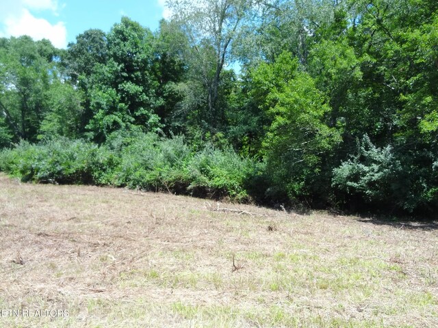 LOT5 Eugene Ct, Crossville, TN 38555 - photo 4