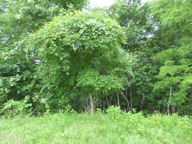 Listing photo 3 for Mica Ct, Lot New Tazewell TN 37825