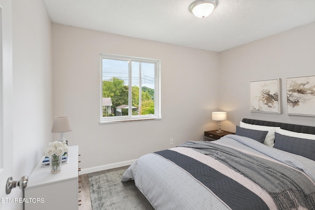 bedroom featuring carpet floors