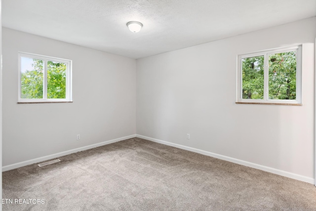 carpeted empty room with a healthy amount of sunlight