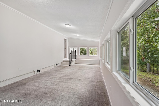 carpeted empty room featuring lofted ceiling, crown molding, and a textured ceiling