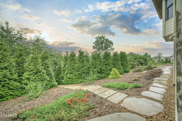 view of yard at dusk