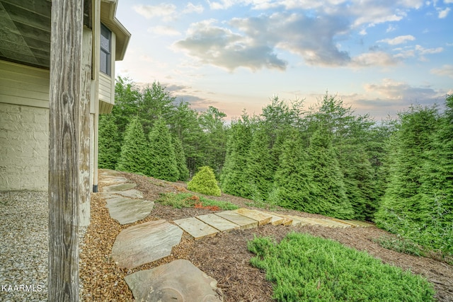 view of yard at dusk