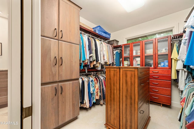 view of walk in closet