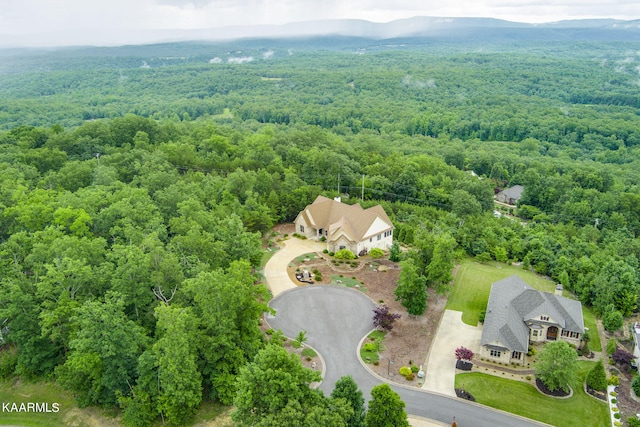 view of birds eye view of property