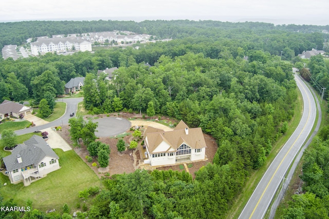 view of bird's eye view