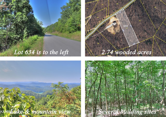 LOT634 Chimney Rock Rd, New Tazewell TN, 37825 land for sale