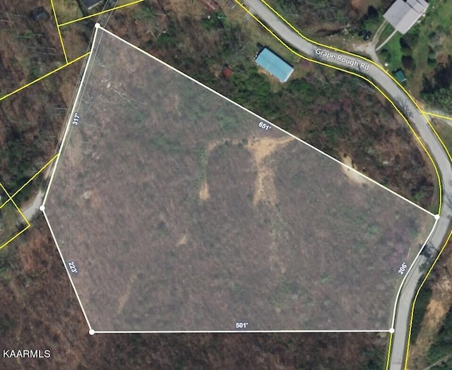 Grape Rough Rd, Oneida TN, 37841 land for sale