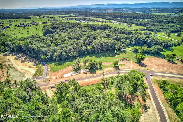 Listing photo 3 for LOT6 Morganton Rd, Greenback TN 37742