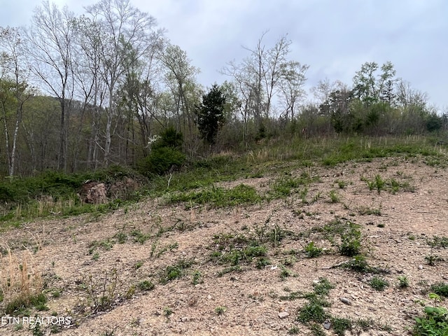 Listing photo 3 for Tower Rd, Tazewell TN 37879