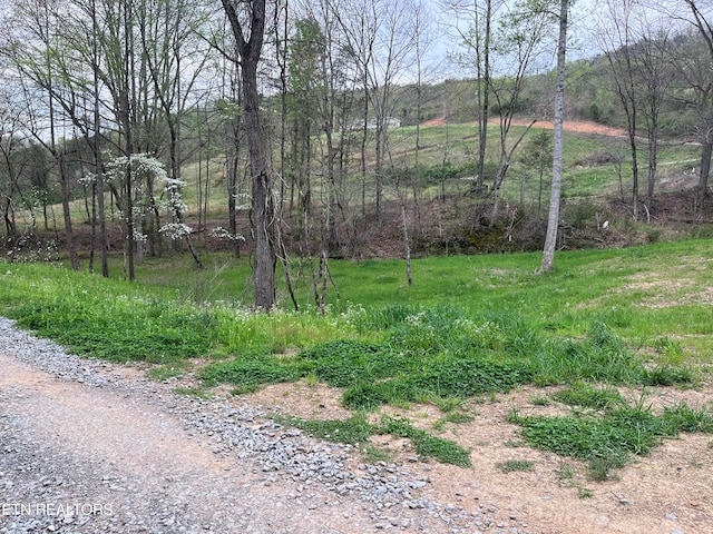 Tower Rd, Tazewell TN, 37879 land for sale