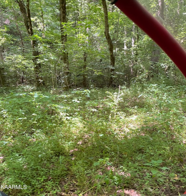 Listing photo 2 for TBD Scenic River Rd, Madisonville TN 37354