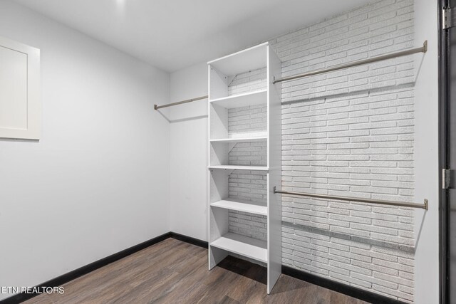 spacious closet with dark wood-type flooring