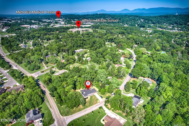 aerial view with a mountain view