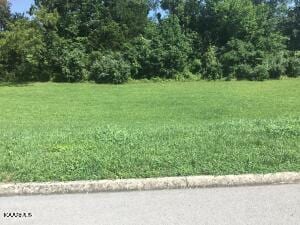 LOT18 Danielle Ct, Harrogate TN, 37752 land for sale