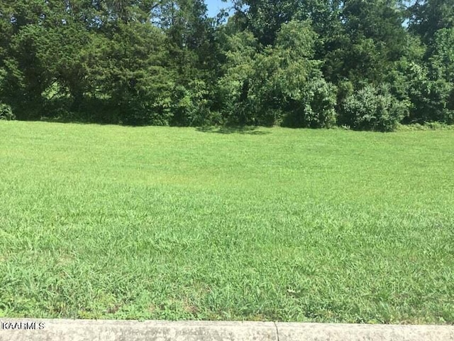 LOT17 Danielle Ct, Harrogate TN, 37752 land for sale