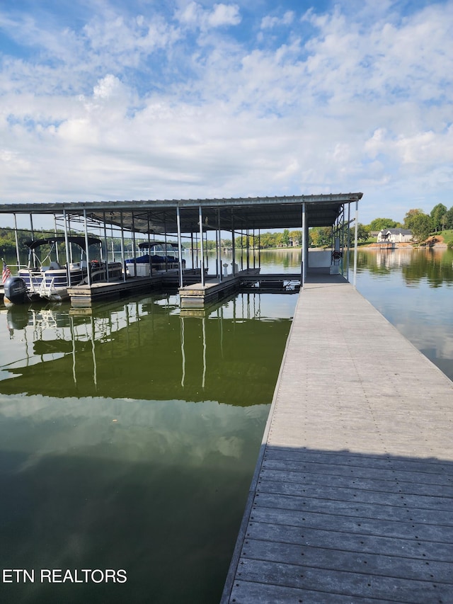 dock area with a water view