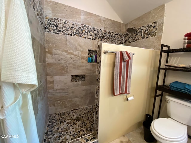 bathroom featuring toilet, lofted ceiling, and a shower with curtain