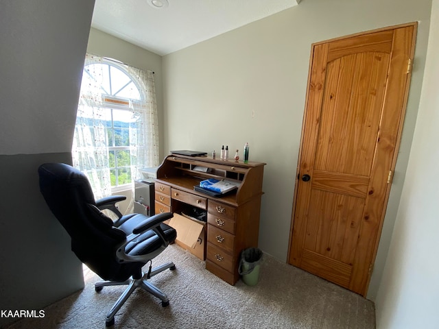 carpeted home office featuring a healthy amount of sunlight