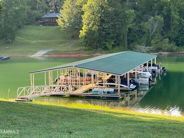 dock area featuring a water view