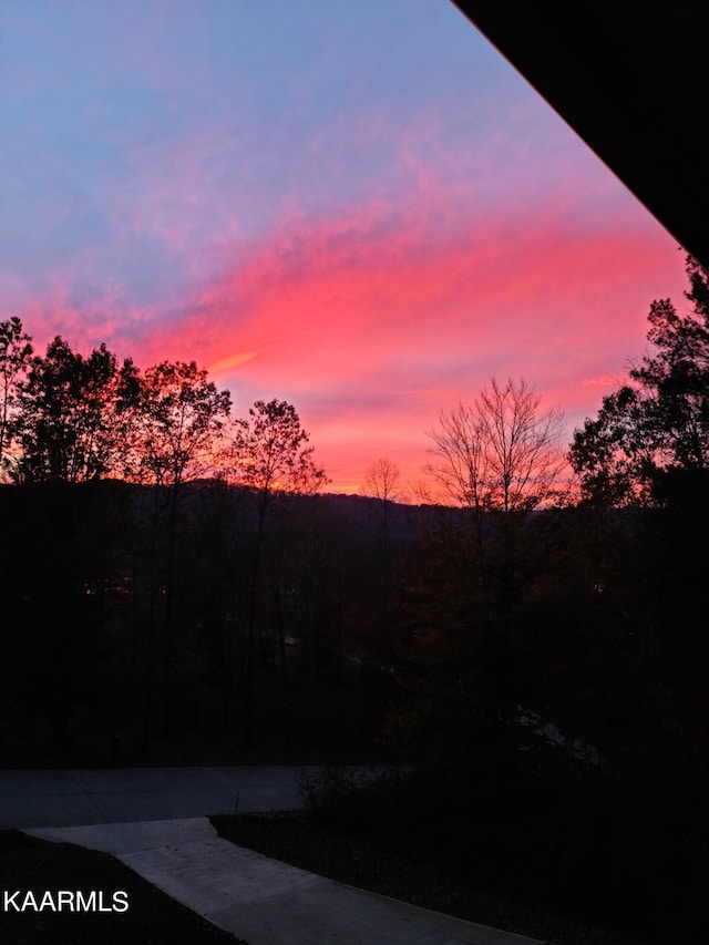 view of yard at dusk