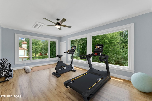 workout area featuring ceiling fan, crown molding, and light hardwood / wood-style flooring