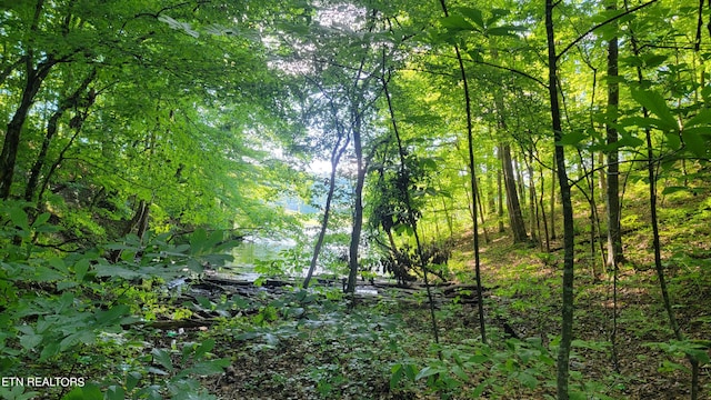 view of local wilderness