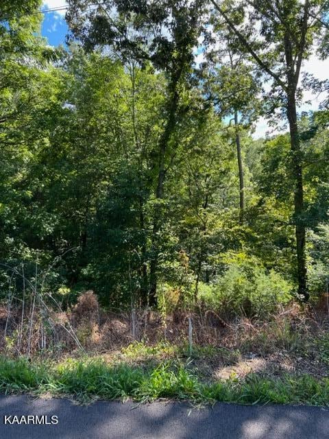 0 Harmon Rd, New Tazewell TN, 37825 land for sale