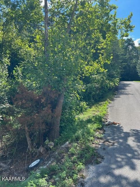 0 Forest Meadow Ln, New Tazewell TN, 37825 land for sale