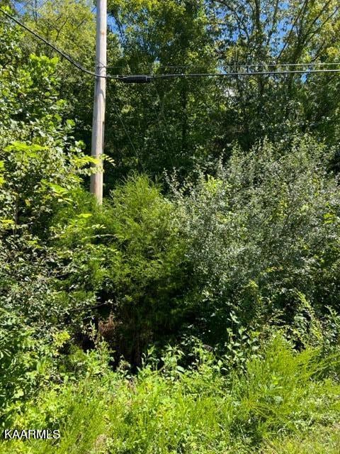 Saddleridge Dr, Speedwell, TN 37870