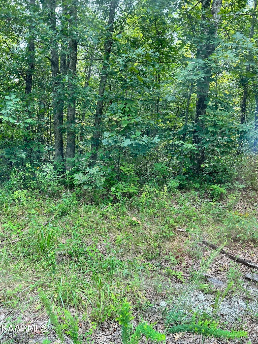 8919 Pima Dr, Crossville, TN 38572 - photo 1