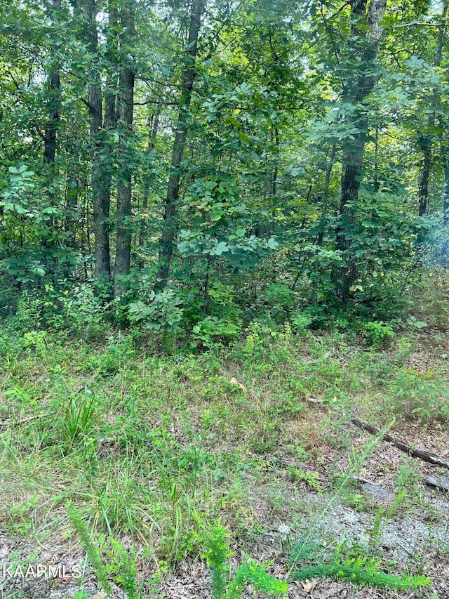 8919 Pima Dr, Crossville TN, 38572 land for sale