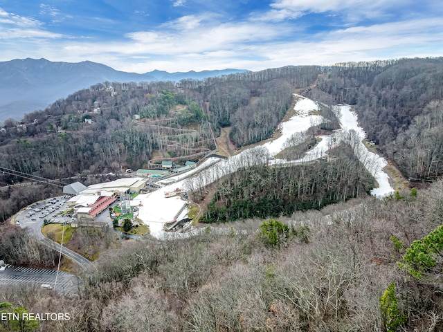 bird's eye view featuring a mountain view