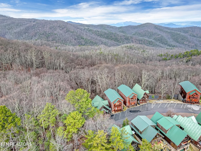 drone / aerial view featuring a mountain view