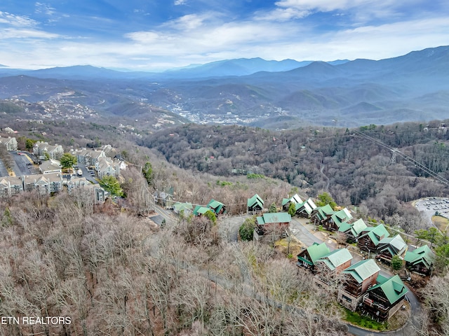 birds eye view of property featuring a mountain view