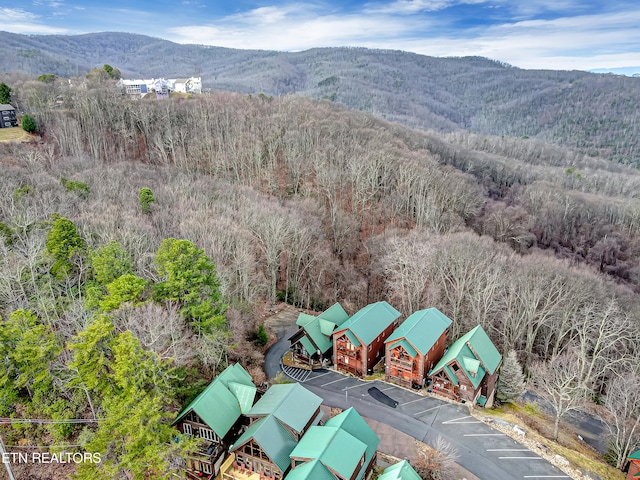 birds eye view of property with a mountain view